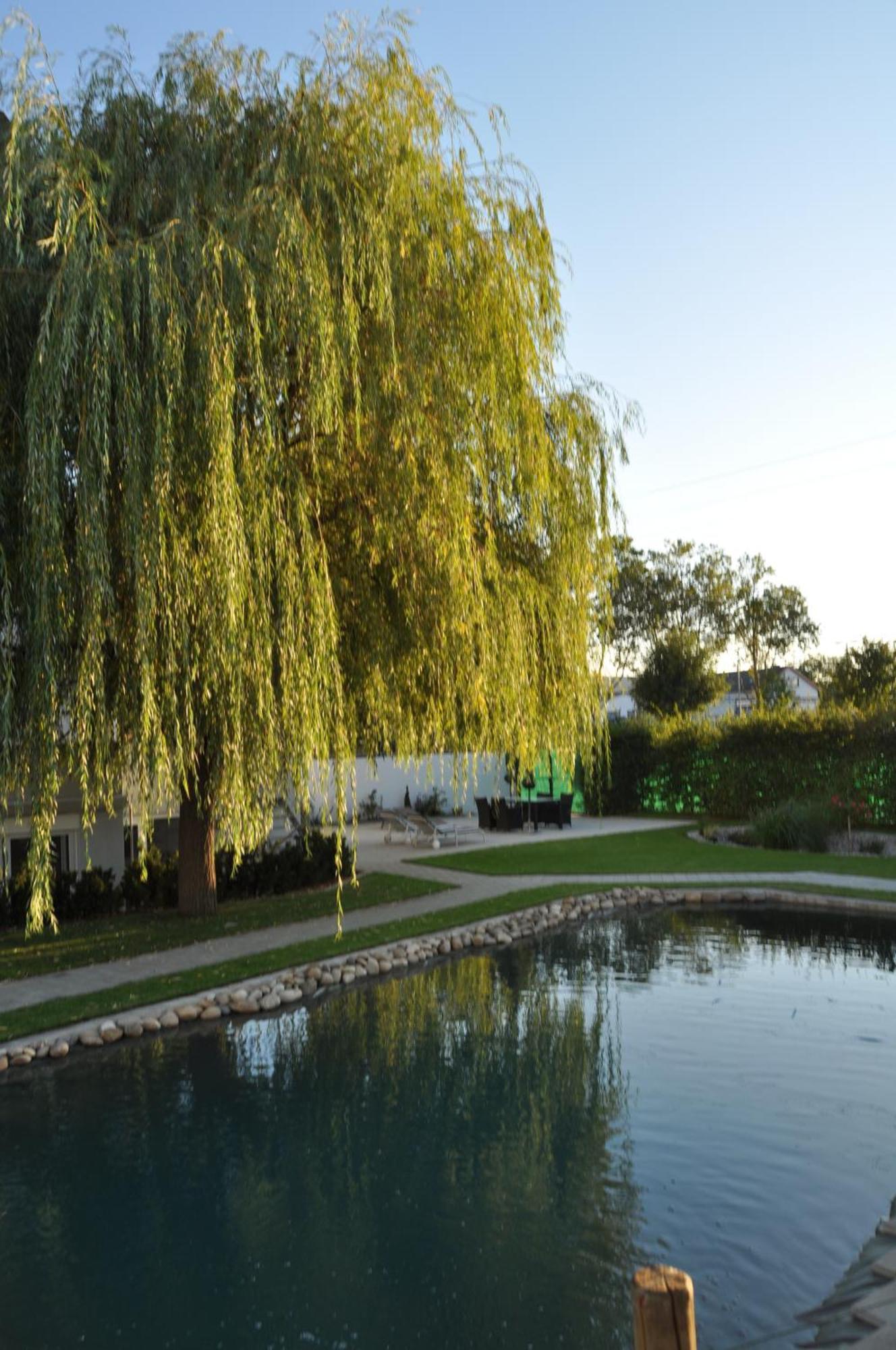 Kirchers Park & Wellnesshotel Kaiserstuhl Garni Endingen am Kaiserstuhl Екстериор снимка